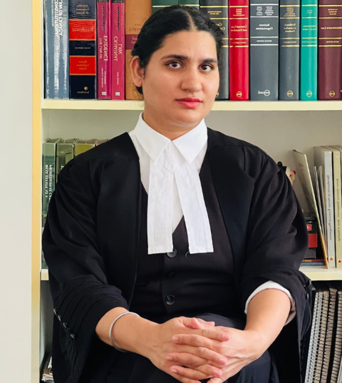 Female Lawyer Working Office